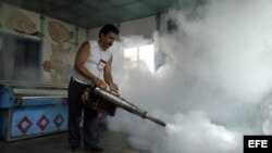 ARCHIVO. Un hombre fumiga una pescadería contra el Aedes Aegypti (mosquito transmisor del dengue).